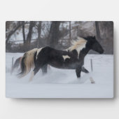 Pferd läuft durch den Schnee Fotoplatte (Vorderseite)