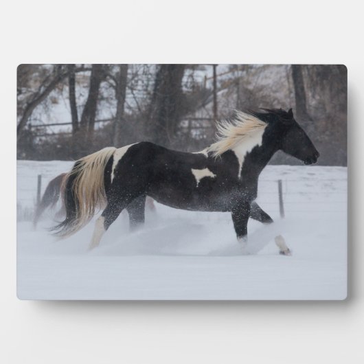Pferd läuft durch den Schnee Fotoplatte (Vorderseite)