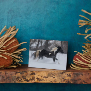 Pferd läuft durch den Schnee Fotoplatte