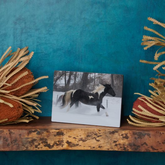 Pferd läuft durch den Schnee Fotoplatte (Seite)