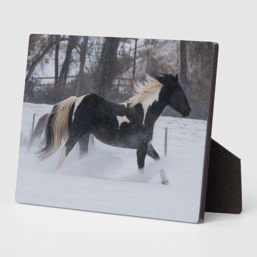 Pferd läuft durch den Schnee Fotoplatte (Seite)