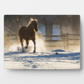 Pferd läuft durch den Schnee Fotoplatte (Vorderseite)