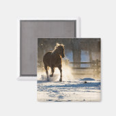 Pferd läuft durch den Schnee Magnet (Vorderseite/Rückseite)