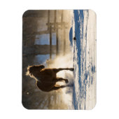 Pferd läuft durch den Schnee Magnet (Vertikal)