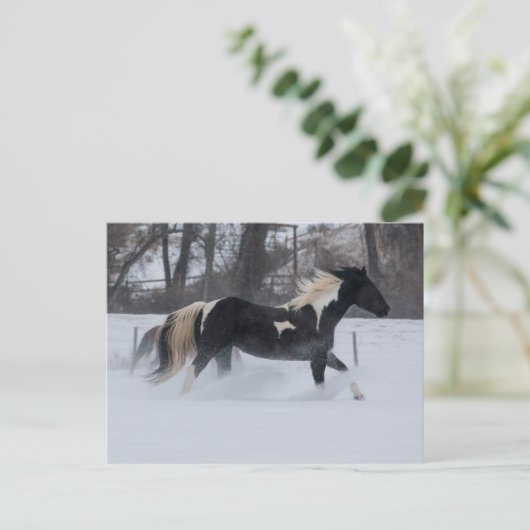Pferd läuft durch den Schnee Postkarte (Stehend Vorderseite)