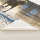 Pferd läuft durch den Schnee Sherpadecke (3/4)