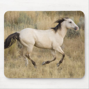 Pferd läuft durch Präriegras Mousepad