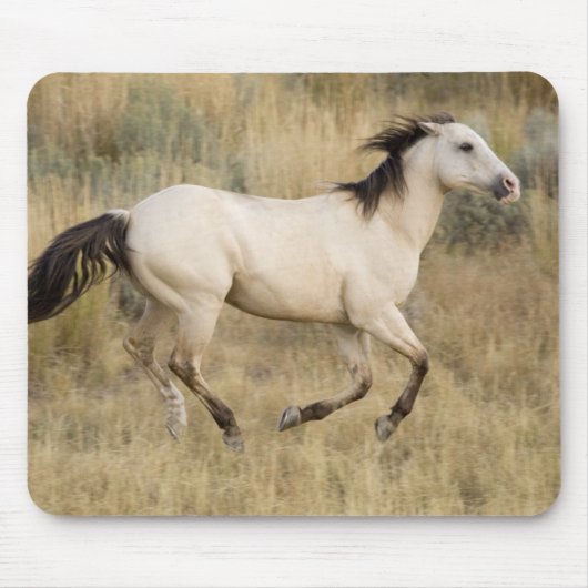 Pferd läuft durch Präriegras Mousepad (Vorne)