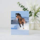 Pferd läuft im Winter über das Feld Postkarte (Stehend Vorderseite)