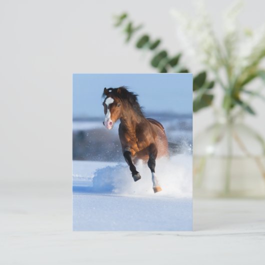 Pferd läuft im Winter über das Feld Postkarte (Stehend Vorderseite)