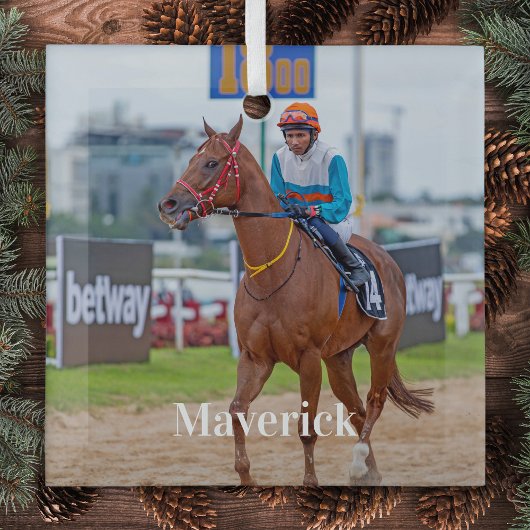 Pferd Lover Personalisiertes Heimtier Foto Reittie Ornament Aus Glas