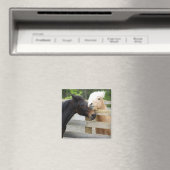 Pferd Lovin' Magnet (In Situ (Geschirrspüler))