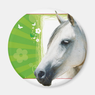 Pferd Magnet