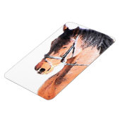 Pferd Magnet (Linke Seite)