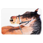 Pferd Magnet (Horizontal)