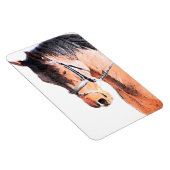 Pferd Magnet (Rechte Seite)