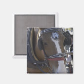 Pferd Magnet (Vorderseite/Rückseite)