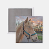 Pferd Magnet (Vorderseite/Rückseite)