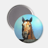 Pferd Magnet (Vorderseite/Rückseite)