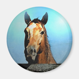 Pferd Magnet