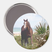 Pferd Magnet Beach (Vorderseite/Rückseite)