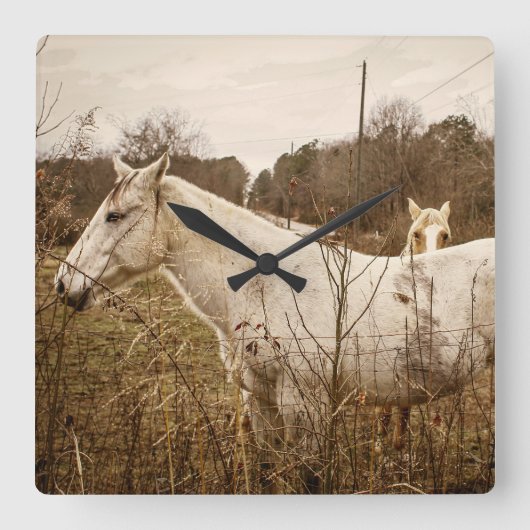 PFERD MAMA Wanduhr (Vorderseite)