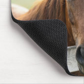 Pferd mit Abschlussmütze Mousepad (Ecke)