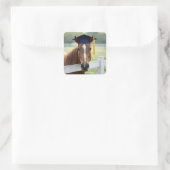 Pferd mit Abschlussmütze Quadratischer Aufkleber (Tasche)