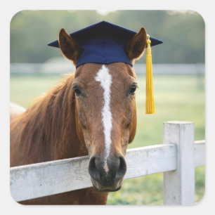 Pferd mit Abschlussmütze Quadratischer Aufkleber