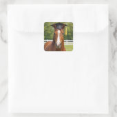 Pferd mit Absolventenhut Quadratischer Aufkleber (Tasche)