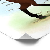 Pferd mit Anatomie-Poster der Blaze Equine Poster (Ecke)