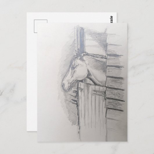Pferd mit Blick über die stabile Tür Postkarte (Vorne/Hinten)