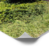 Pferd mit Buggy im Amish Land Poster (Ecke)