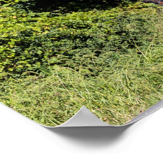 Pferd mit Buggy im Amish Land Poster (Ecke)