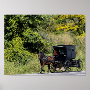 Pferd mit Buggy im Amish Land Poster