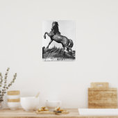 Pferd mit einer Harze Poster (Küche)