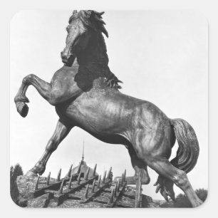 Pferd mit einer Harze Quadratischer Aufkleber