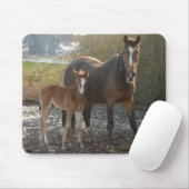Pferd mit Fohlen mousepad (Mit Mouse)