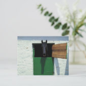 Pferd mit französischer Tür abgestoppt Postkarte (Stehend Vorderseite)