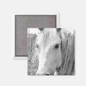 Pferd mit Gras Magnet (Vorderseite/Rückseite)