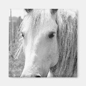 Pferd mit Gras Magnet (Vorne)