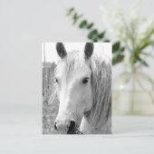 Pferd mit Gras Postkarte (Stehend Vorderseite)