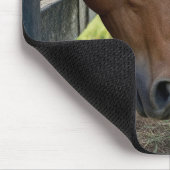 Pferd mit Kätzchen auf einer Weide Mousepad (Ecke)