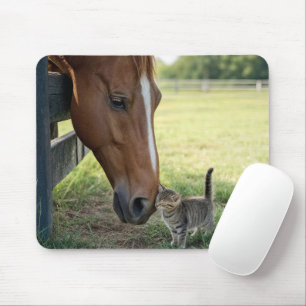 Pferd mit Kätzchen auf einer Weide Mousepad