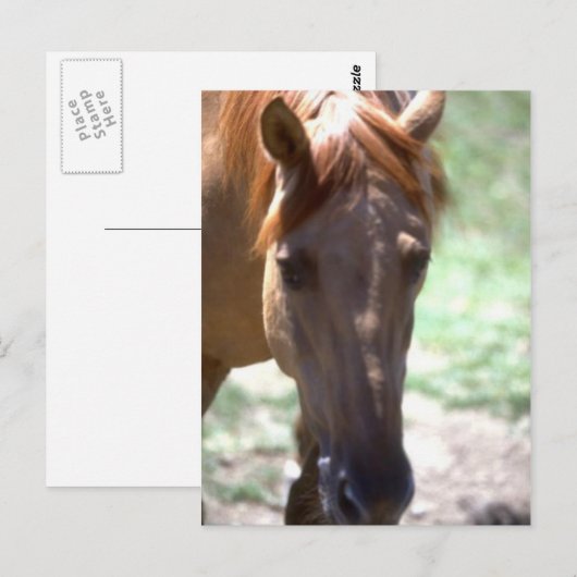 Pferd mit Mane Postkarte (Vorne/Hinten)