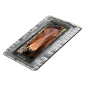 Pferd mit Namen Magnet (Linke Seite)