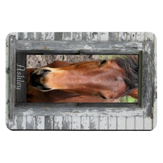 Pferd mit Namen Magnet (Horizontal)