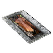Pferd mit Namen Magnet (Rechte Seite)