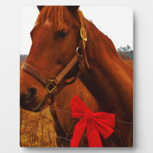 Pferd mit Red Bow Fotoplatte