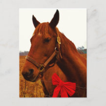 Pferd mit Red Bow